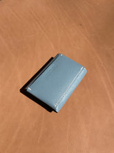 Load image into Gallery viewer, Busy Body - Magnetic Card Case - Sky Blue
